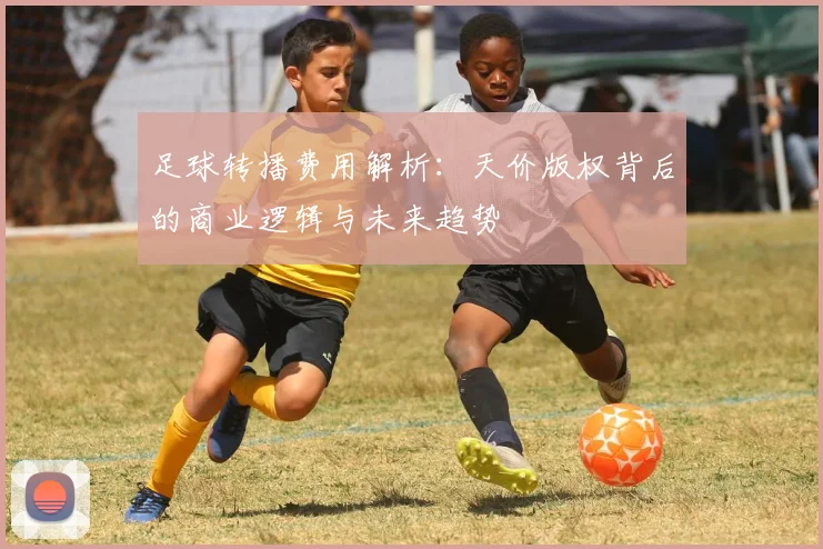 足球转播费用解析：天价版权背后的商业逻辑与未来趋势